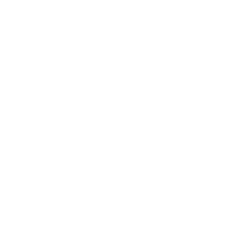 TS Logo T-shirt